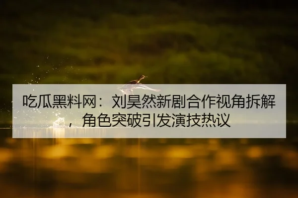 吃瓜黑料网：刘昊然新剧合作视角拆解，角色突破引发演技热议